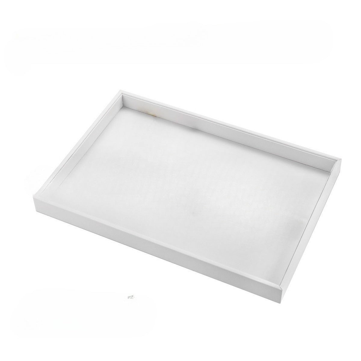 Empty Display Storage Tray
