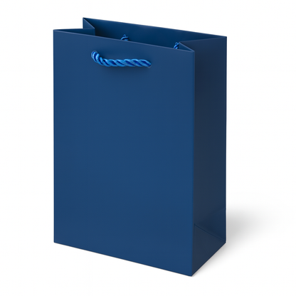 10 pcs Cheap Gift Bags