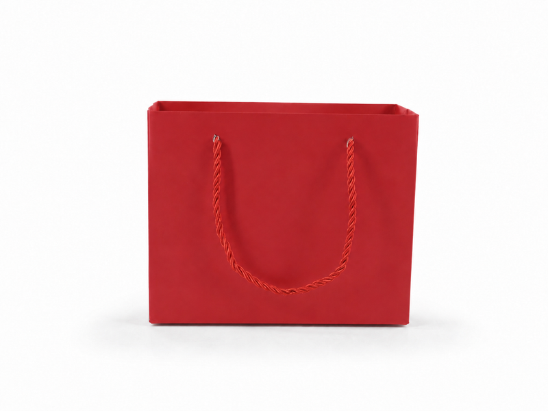 jewelry gift bags - 24-Pack Red High Quality Paper Jewelry Bags with Rope Handles 7.75 3.5 6.25 in SB21-R side view