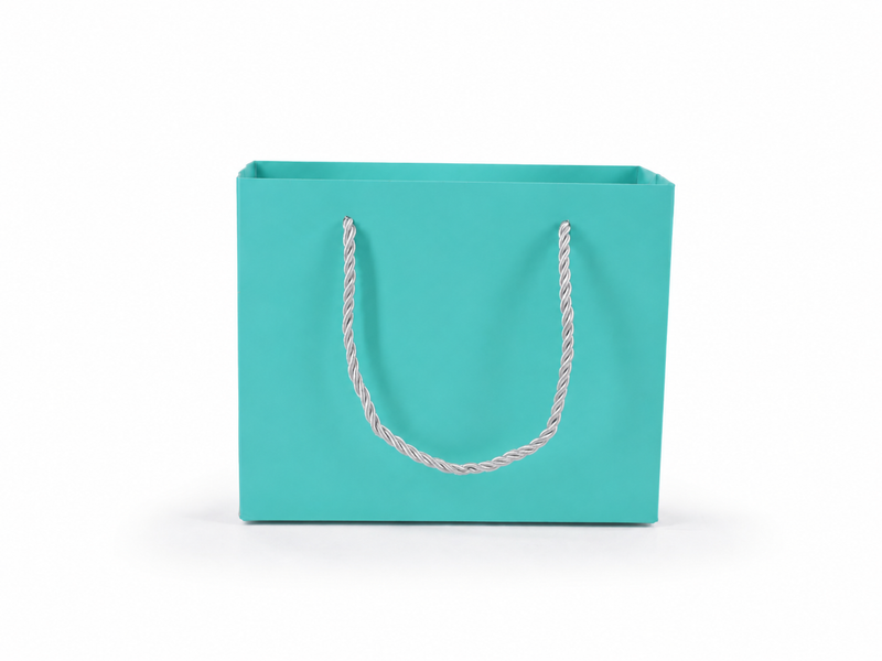 jewelry gift bags - 24-Pack Tiffany Blue Paper Gift Bags with Rope Handles 7.75 3.5 6.25 in SB21-T side view