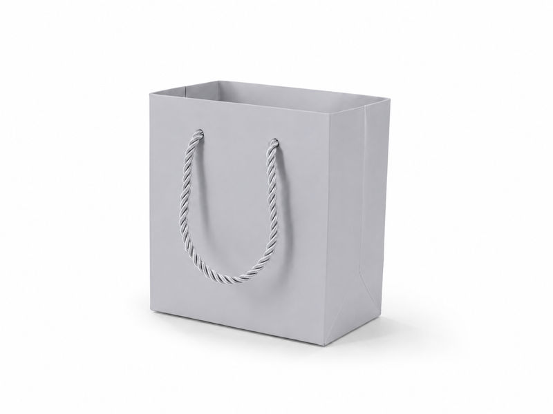 Silver small square paper gift tote bag with rope handles, 24 pack